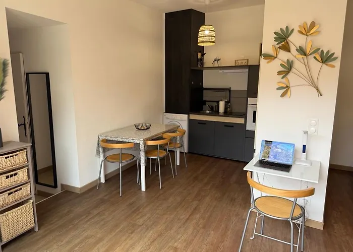 Grand Hyper Centre Porto-vecchio Appartement